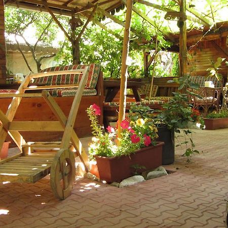 Olympos Natural Pansiyon المظهر الخارجي الصورة