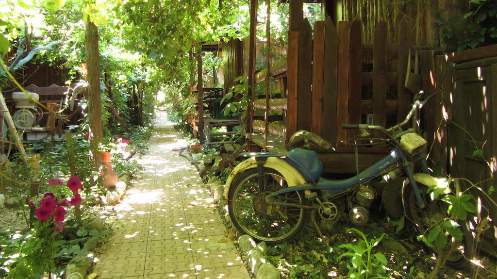 Olympos Natural Pansiyon المظهر الخارجي الصورة