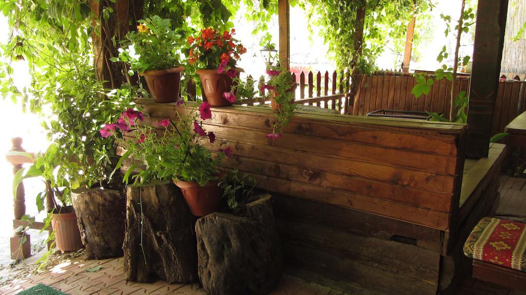 Olympos Natural Pansiyon المظهر الخارجي الصورة