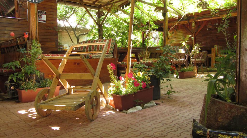 Olympos Natural Pansiyon المظهر الخارجي الصورة