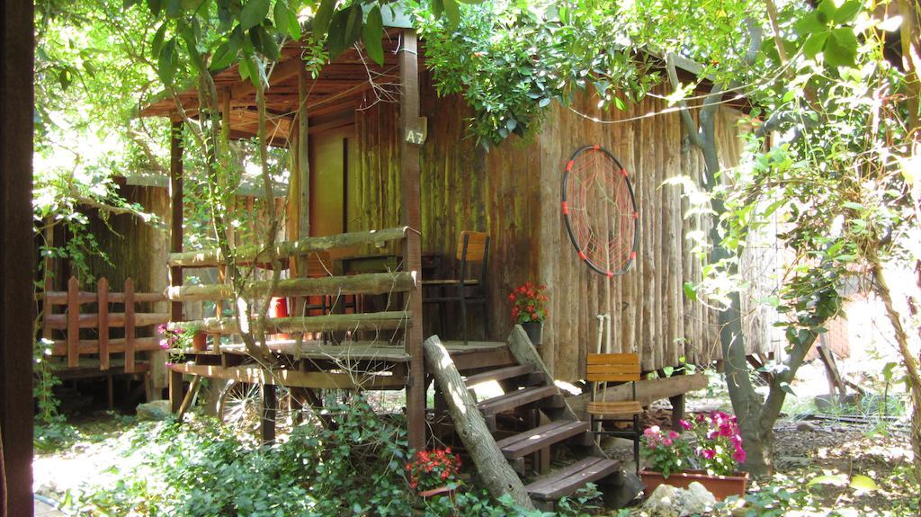 Olympos Natural Pansiyon المظهر الخارجي الصورة