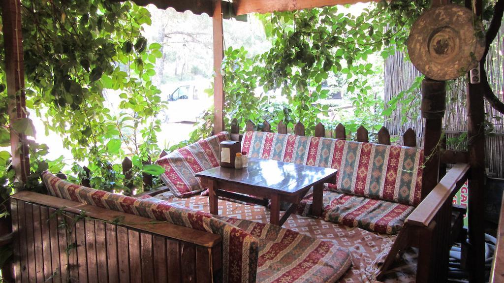 Olympos Natural Pansiyon المظهر الخارجي الصورة