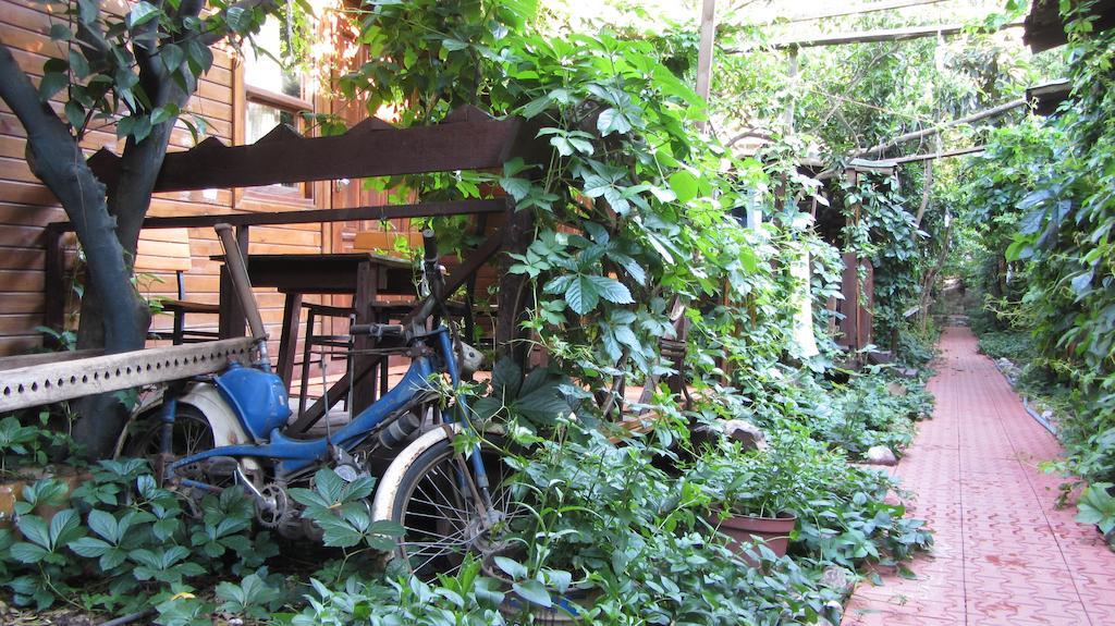 Olympos Natural Pansiyon المظهر الخارجي الصورة