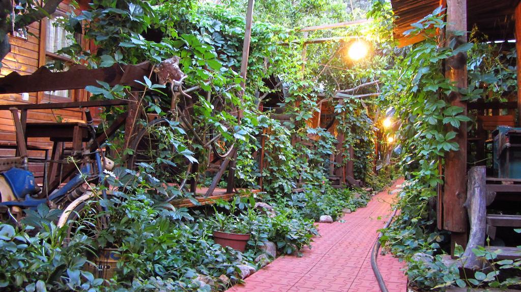 Olympos Natural Pansiyon المظهر الخارجي الصورة